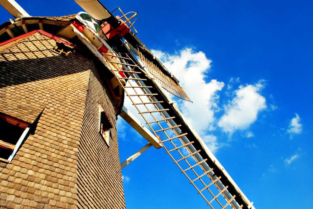 Holambra com crianças