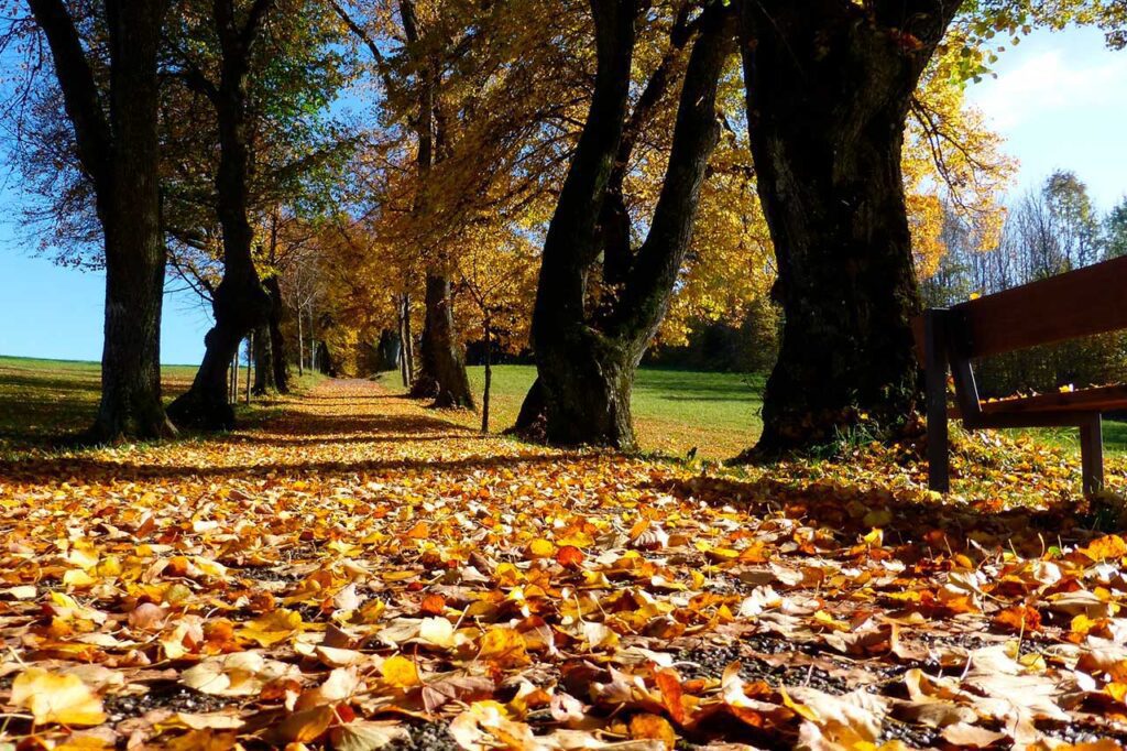 Pesquise as atrações gratuitas