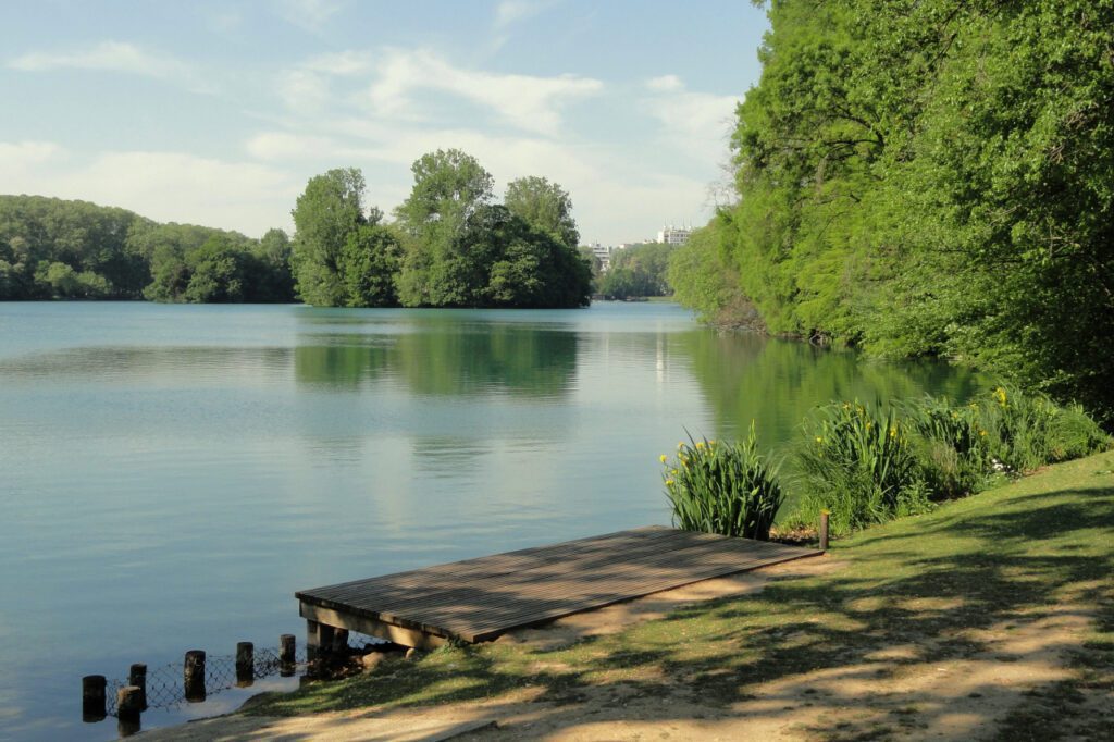 lyon frança lagos