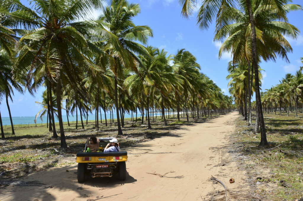 Como chegar a Porto de Galinhas